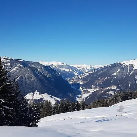 Moser * Viehhofen