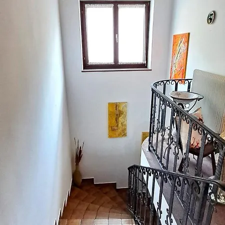 Moser Apartmán Viehhofen