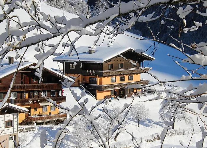 Moser Daire Viehhofen