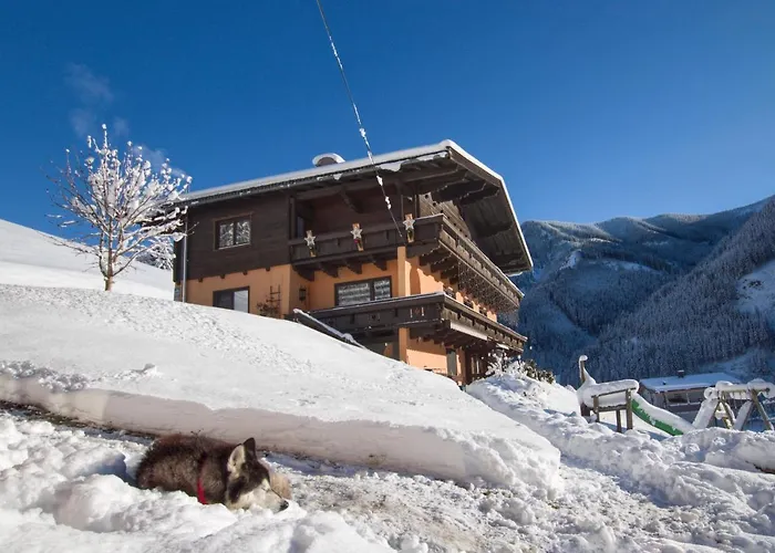 莫泽尔公寓 * 菲霍芬